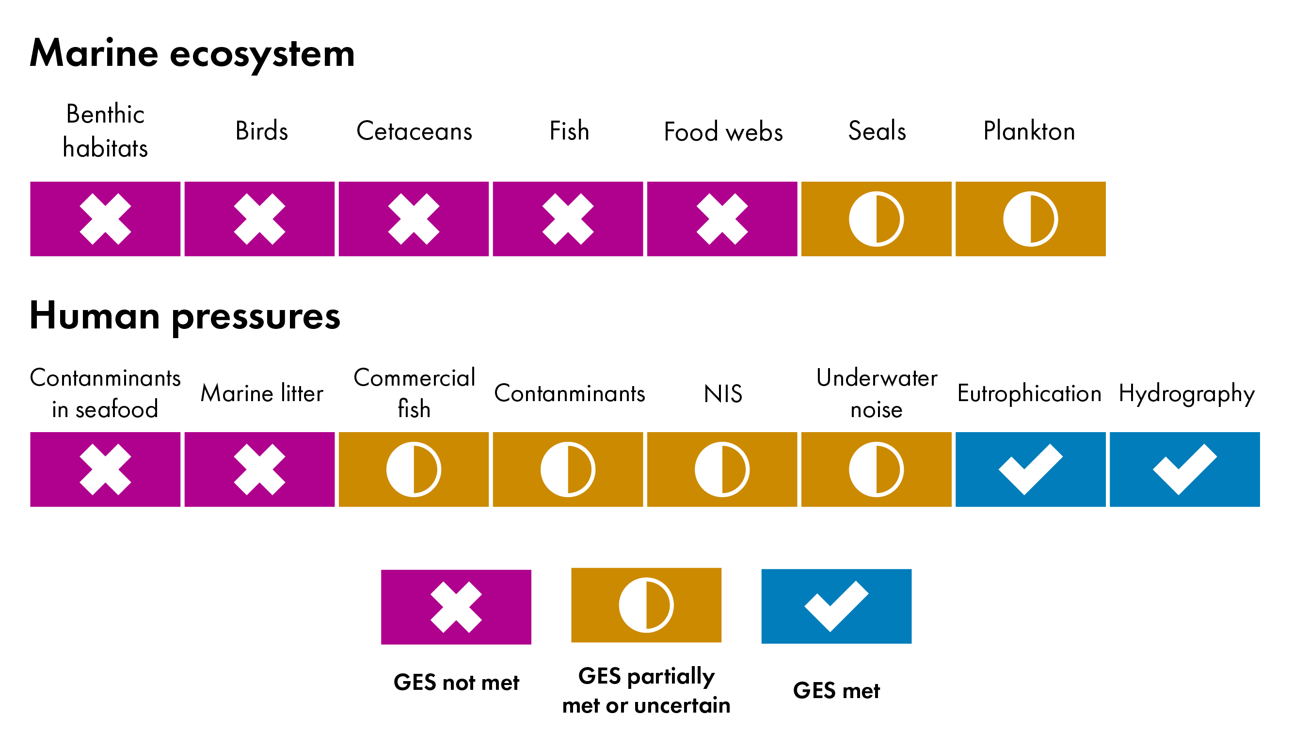 Chart summarising achievement of Good Environmental Status (GES) under the UK Marine Strategy in 2026 using 11 descriptors (and disaggregated information for indicators within the biodiversity descriptor). Purple crosses indicate GES not met, amber half-circles indicate GES partially met or uncertain, and blue ticks indicate GES met. For marine ecosystems, benthic habitats, birds, cetaceans, fish and food webs do not meet GES, while seals and plankton are partially met or uncertain. For human pressures, contaminants in seafood and marine litter do not meet GES; commercial fish, contaminants, non-indigenous species (NIS), underwater noise and eutrophication are partially met or uncertain; and hydrology and hydrographic conditions meet GES.